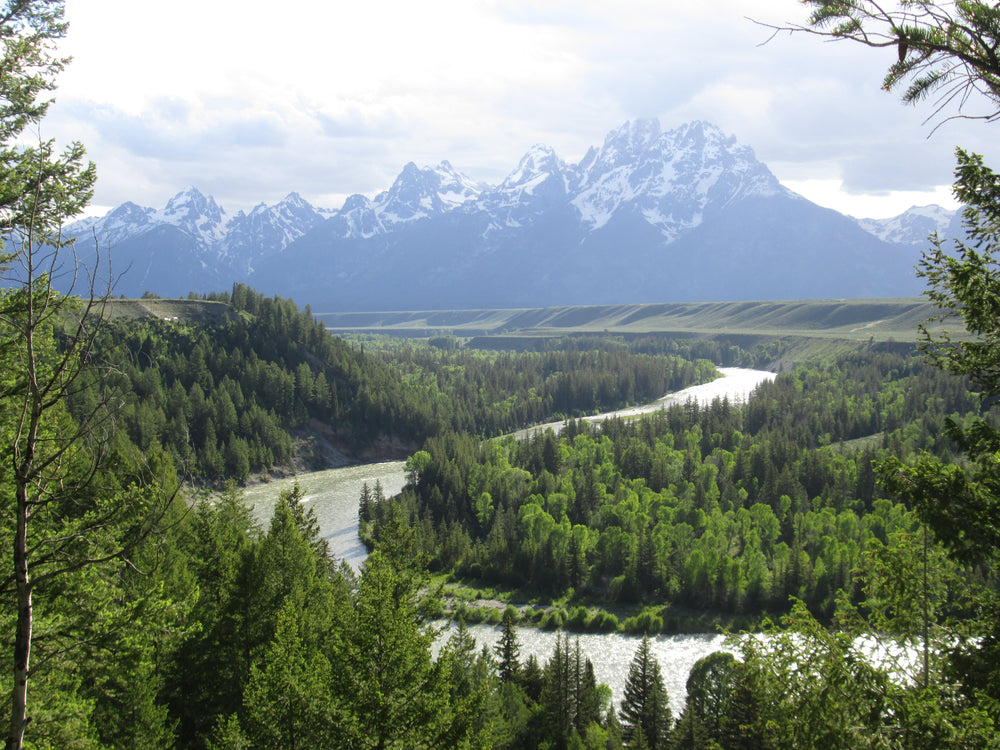 Snake River below the Grand Tetons