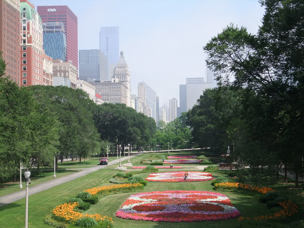 Flower beds in Grant Park