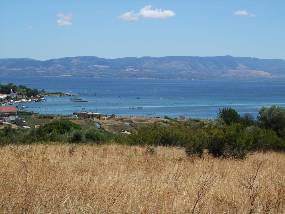 Lake Varano