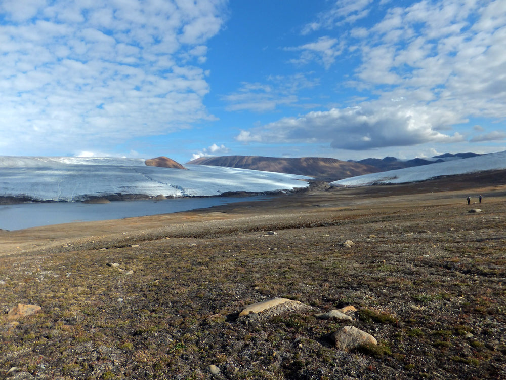 Arctic glaciers