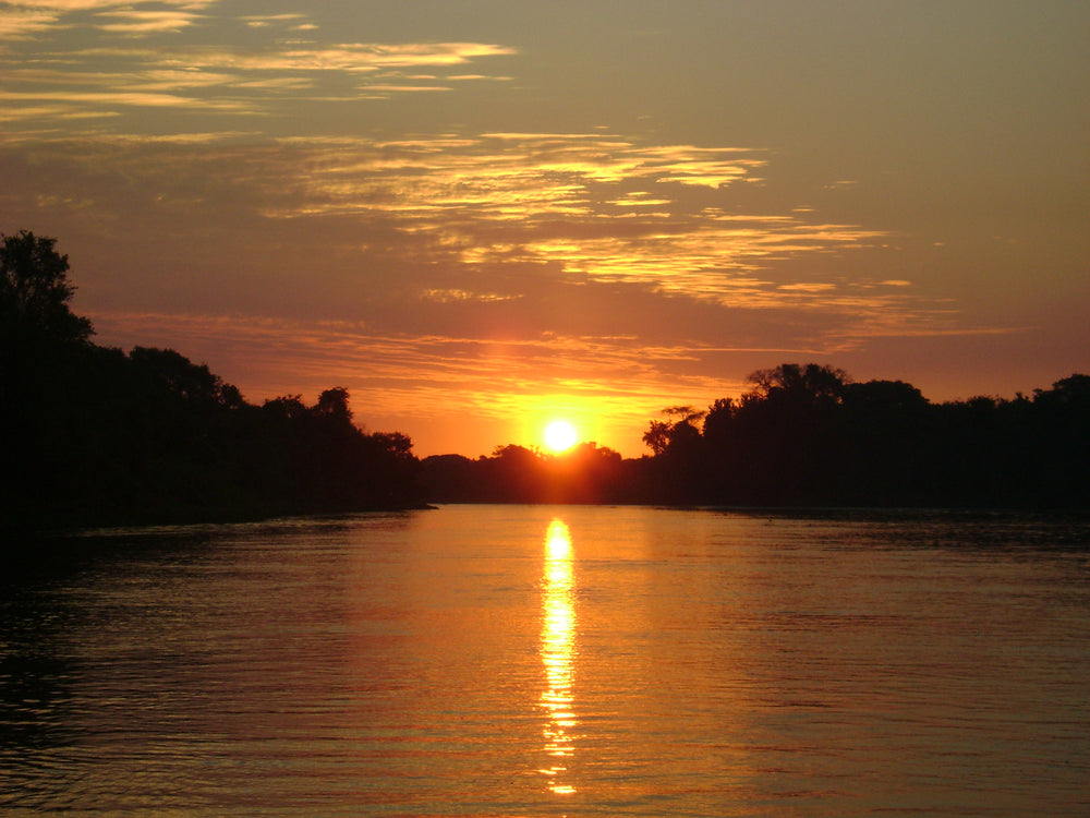 Golden sunset over the Pantanal
