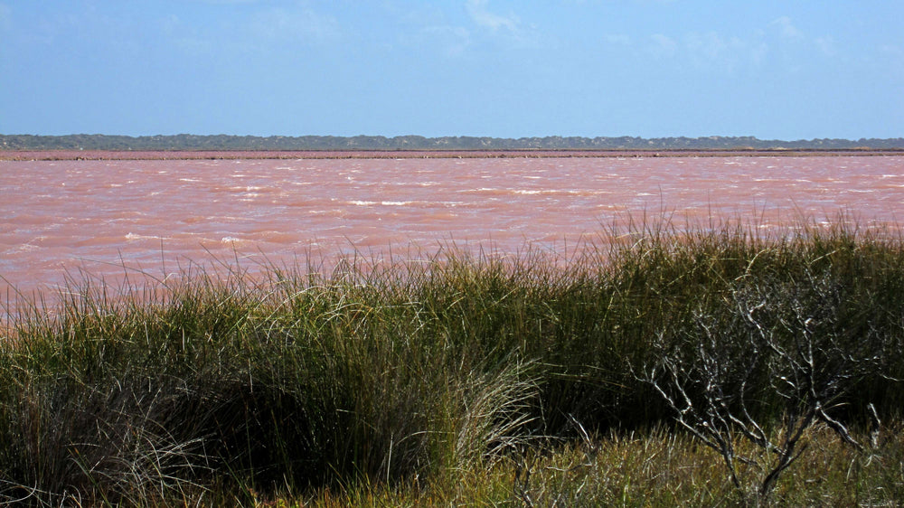Pastel pink salt lake beneath a soft blue sky