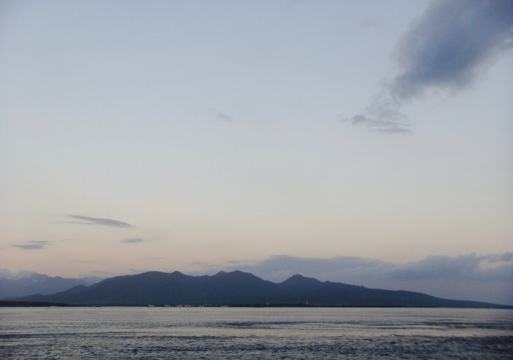 Bali Strait at dawn