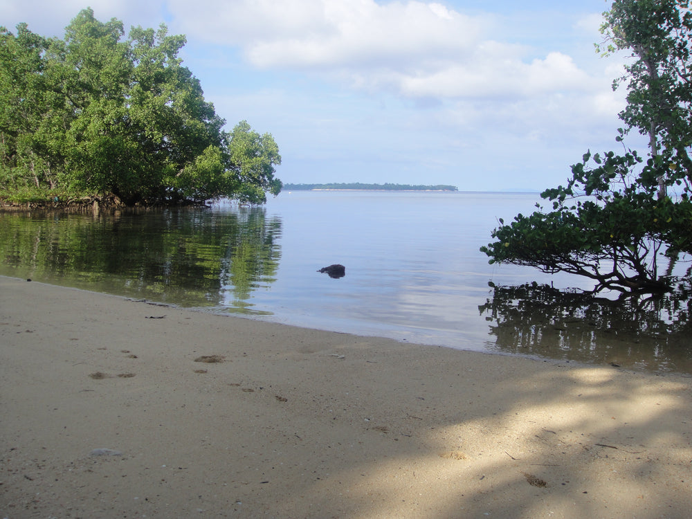 Quiet water and mangroves, Bunaken
