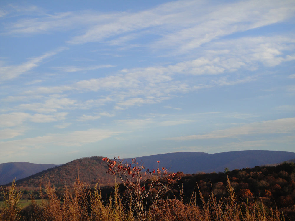 Autumn hills at Cullers Overlook
