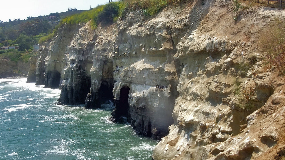 La Jolla sea caves