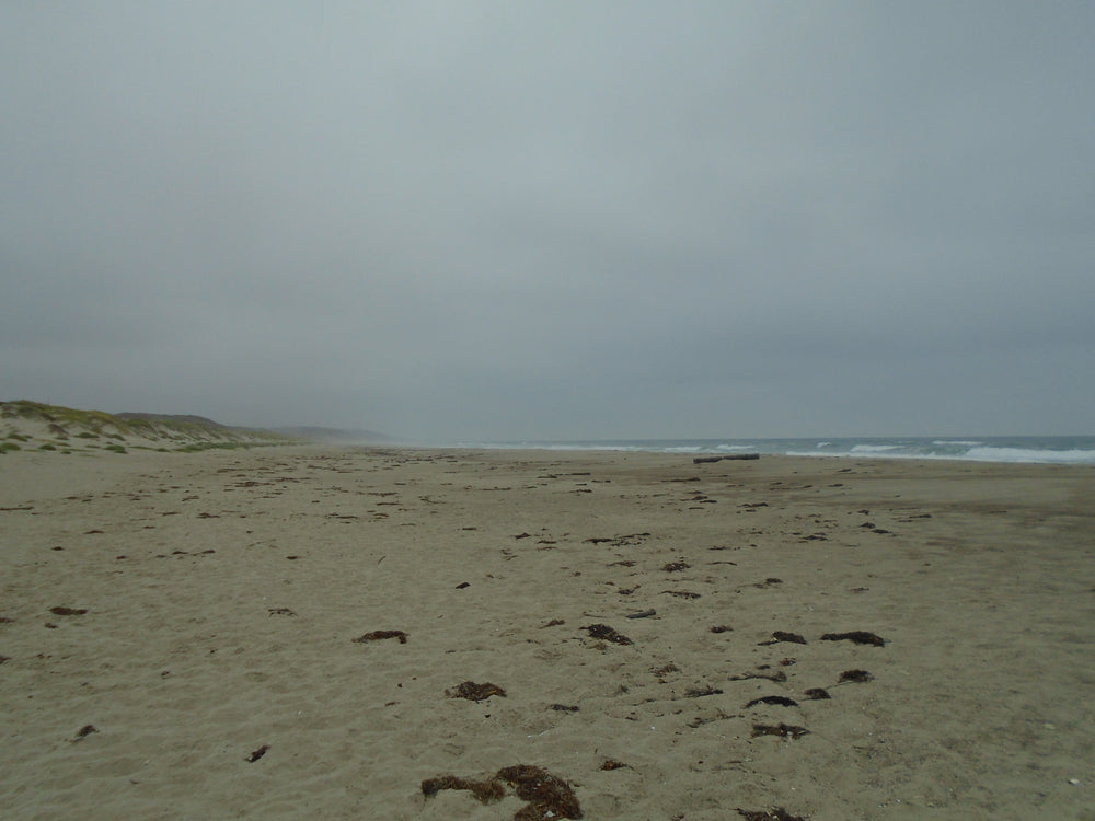 Quiet shoreline at Surf Beach